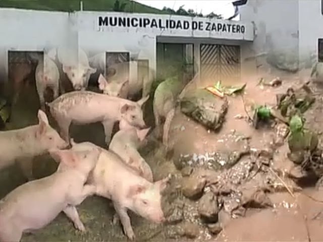  Zapatero, el distrito más contaminado de la región San Martín