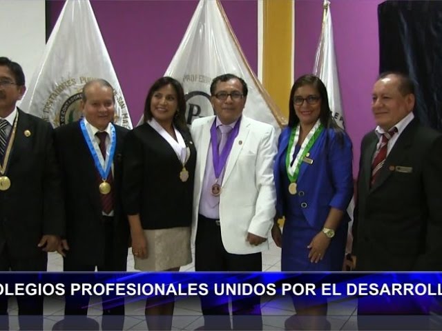  Colegios Profesionales unidos por del desarrollo de San Martín
