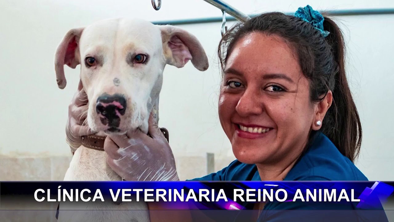  Clínica veterinaria Reino Animal – Promoviendo Desarrollo en Tarapoto